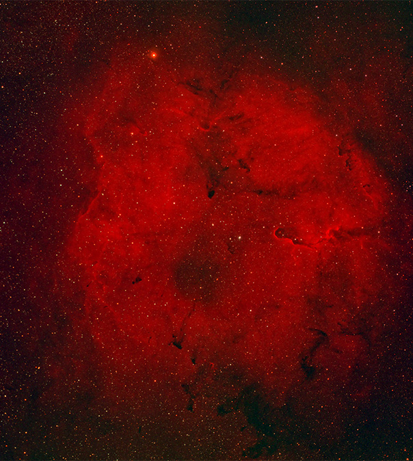 IC1396. ЭМИССИОННАЯ ТУМАННОСТЬ В ЦЕФЕЕ