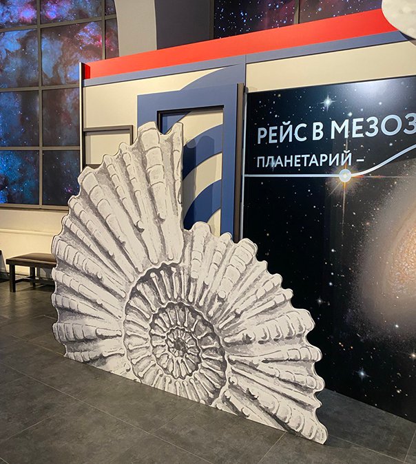 Аммониты