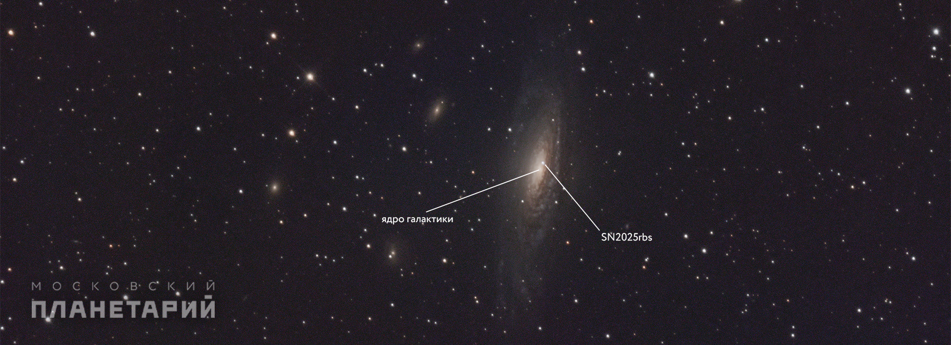 Сверхновая SN 2025rbs в галактике NGC 7331