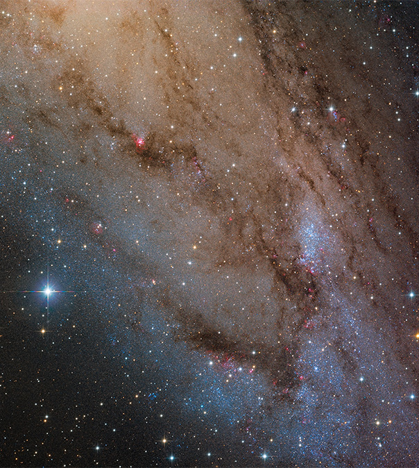 ТУМАННОСТЬ АНДРОМЕДЫ (ФРАГМЕНТ) С ГРУППОЙ МОЛОДЫХ ЗВЁЗД NGC 206